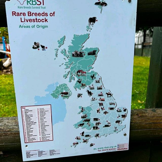 LOVELY ANIMAL FARM IN LONDON!