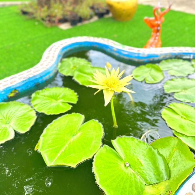 🙂ชุ่มช่ำกับวัดสักใหญ่