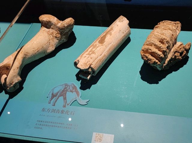 湖南省博物院 ~ 自由行推介的免費景點 湖南省博物院 ~ 自由行推介的免費景點