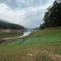 Forest which Echoes in Munnar 😳