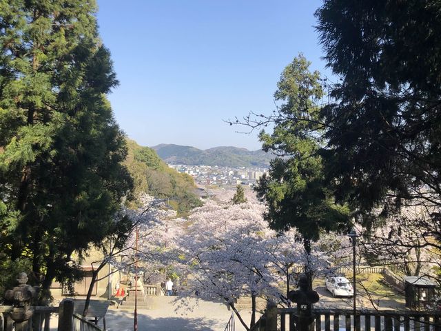 【兵庫・たつの市】龍野城