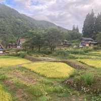 越前五箇山　【相倉合掌造り集落】