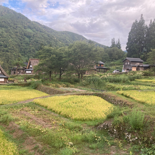越前五箇山　【相倉合掌造り集落】