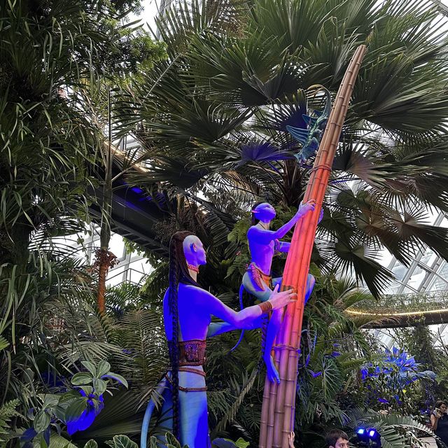 濱海灣雲霧林X阿凡達