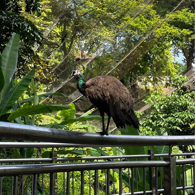 KL Bird Park