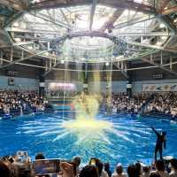 【テクノロジーが溢れる水族館】マクセル アクアパーク品川