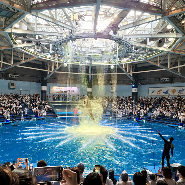 【テクノロジーが溢れる水族館】マクセル アクアパーク品川