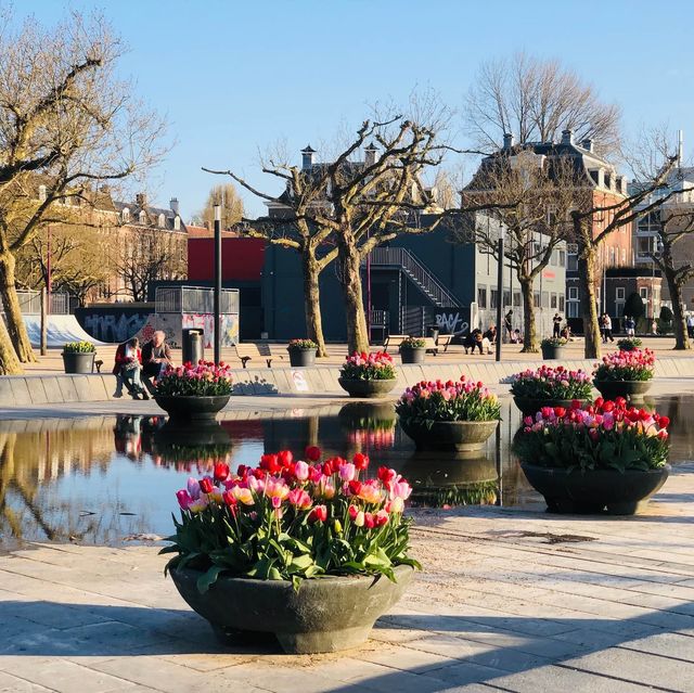 荷蘭🇳🇱阿姆斯特丹💐🌷🎨 Rijksmuseum荷蘭國立博物館