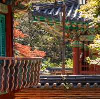 Beautiful Autumn View Of Naejangsa Temple 
