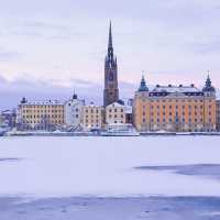 Exploring Stockholm's Seasonal Charms