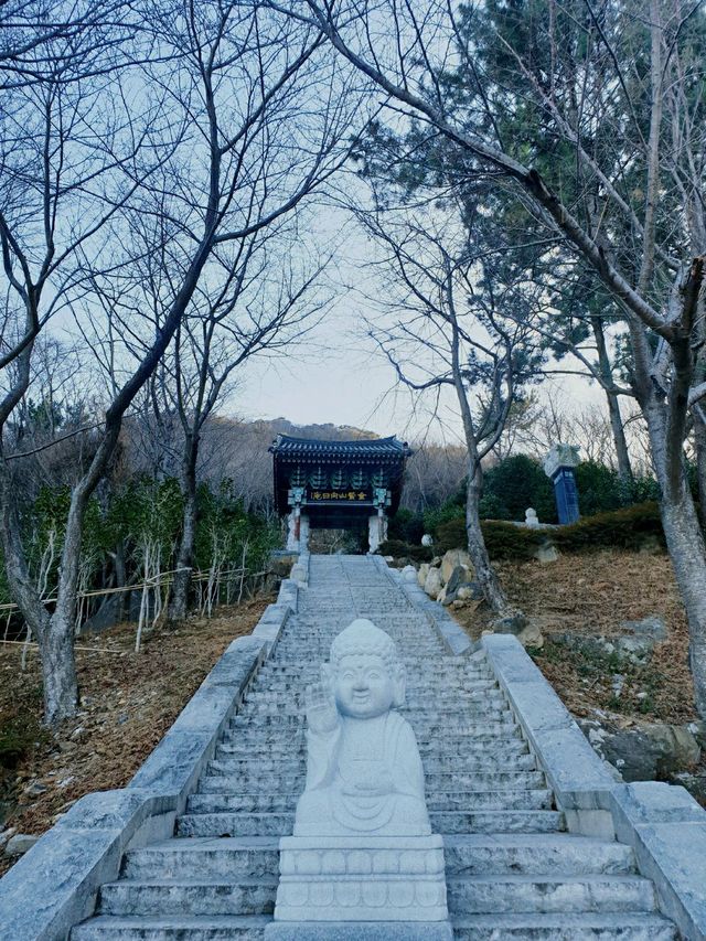 향일암 여수 오면 무조건 여기!