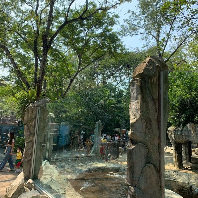 “Safari World” ซาฟารีครั้งเดียวไม่เคยพอ🌳