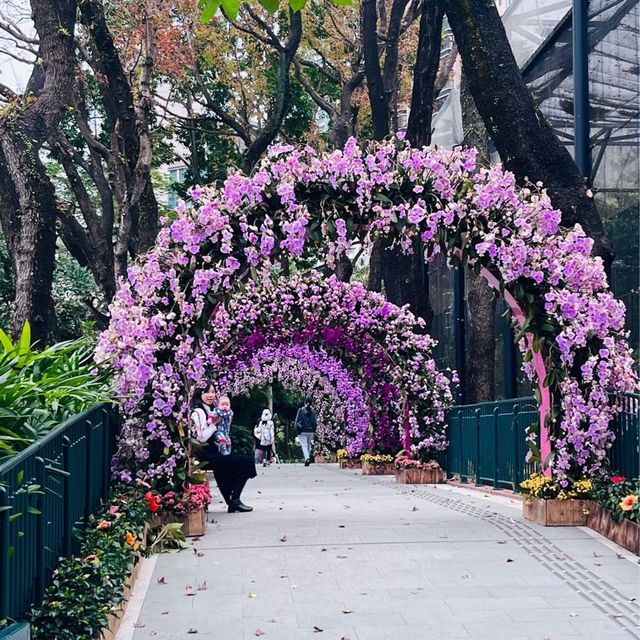 香港動植物園-給自己最美的大自然的饗宴