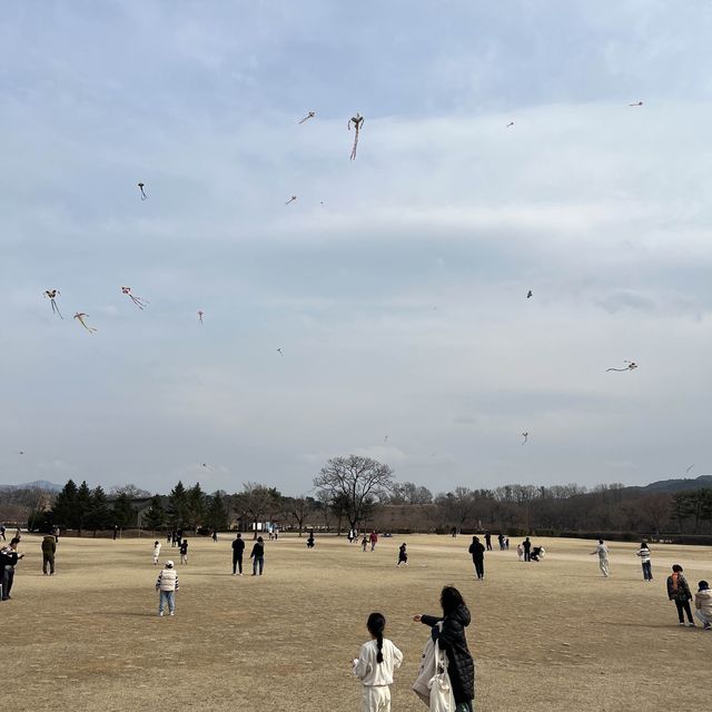 문화관광도시 경주, 유적지 탐방하기🧐