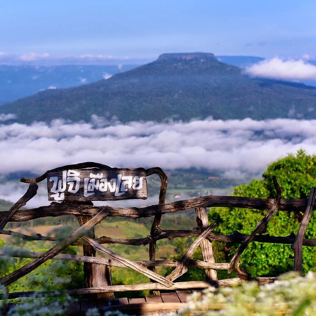 📍#ภูป่าเปาะ 🌳⛰ ฟูจิ #เมืองเลย 