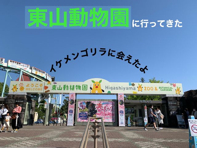 名古屋　名古屋観光　名古屋東山動物園でイケメンゴリラのシャバーニ君に会ってきた！