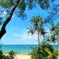 SEA BREEZE & PALM TREES @ PULAU PANGKOR!