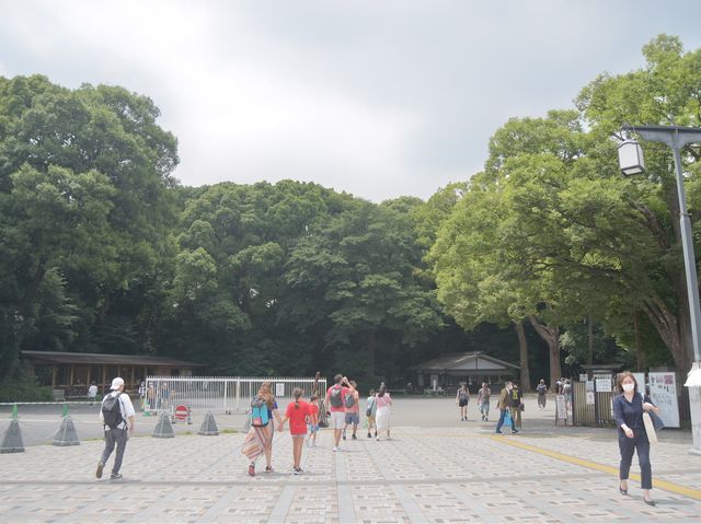 明治神宮「原宿駅から徒歩数分」
