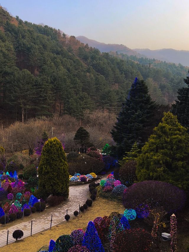 The Enchanting Garden of Morning Calm
