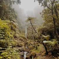 Wanagiri Puncak Manik Waterfall, Bali