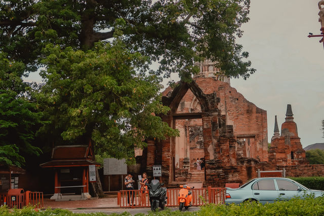 Busaba Cafe & Bake Lab | Ayutthaya