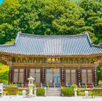 경북 가볼만한곳인 직지사