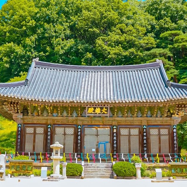 경북 가볼만한곳인 직지사