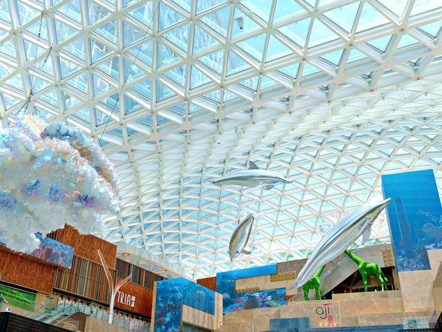 🐬🐬活潑海豚空中海洋暢泳