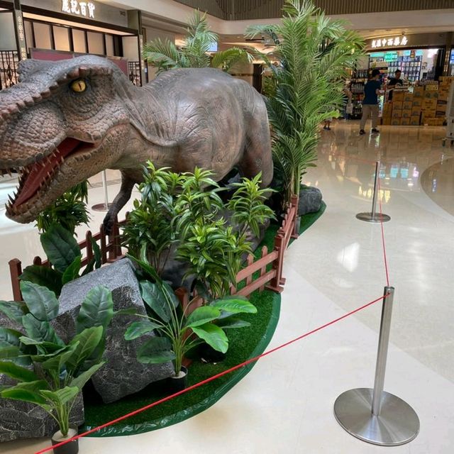 dinosaur coming！🐾