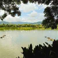 สิงห์ปาร์คเชียงราย (Singha Park Chiang Rai)