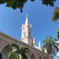 Danang Cathedral โบสถ์สีชมพู 