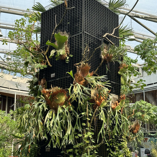 台北圓山站休閑一日遊🌿🌵適合夏日親子遊