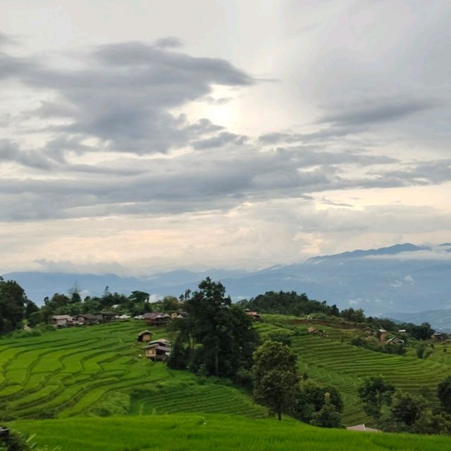 Breathtaking sight Rice Terrece 