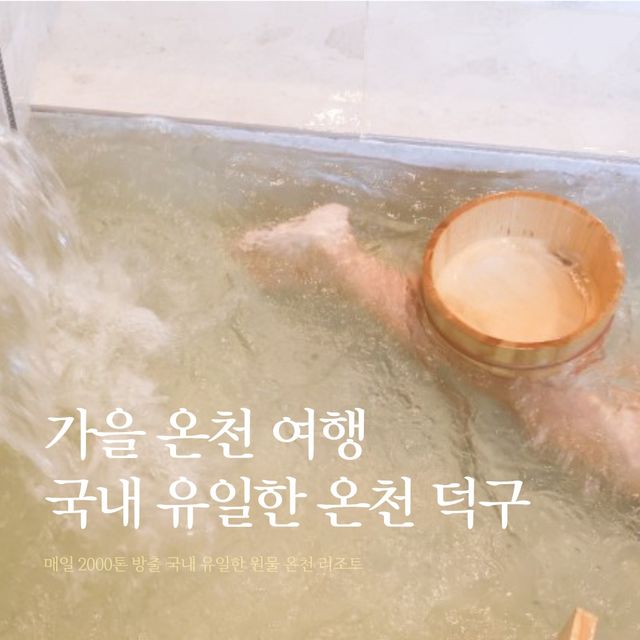 가을 온천 여행 국내 유일 원물 그대로 보양온천 덕구 리조트 