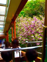 1 วัน Kobe/ Arima onsen/ ภูเขา Rocko