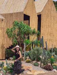 CHAN nature cafe' | ชานเนเจอร์คาเฟ่ ☕️🍃