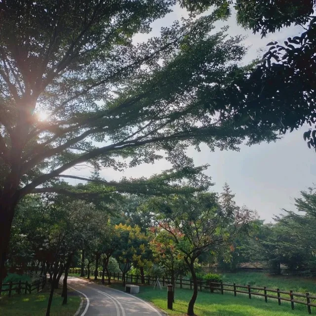 優美湖景-八掌溪親水公園