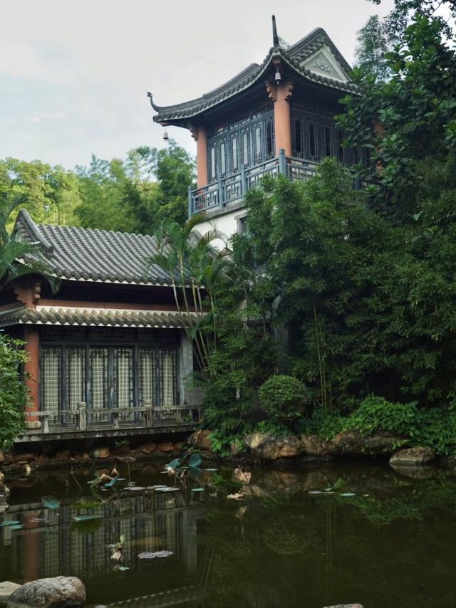 🌸🏞️💦 東莞人民公園～蓮花亭小橋流水🌸🏞️💦