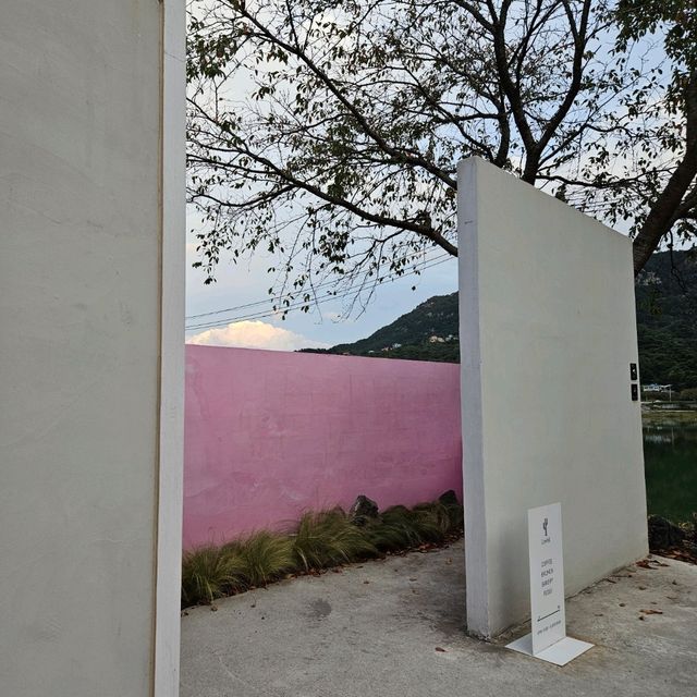 로우풀 카페