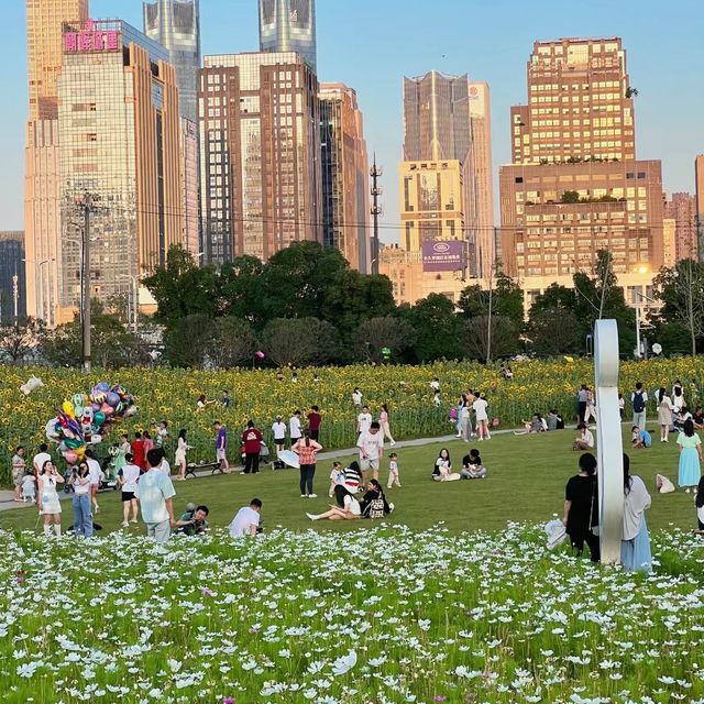 紫山公園 🌷🌳荷蘭奇幻🌷🌷