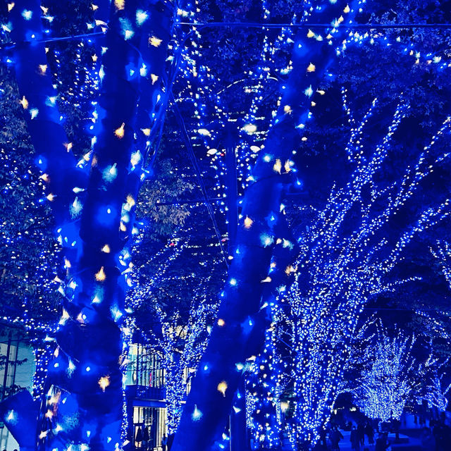 Illumination season in Japan 🇯🇵 