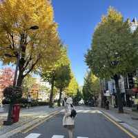 มหาลัย อีฮวา🍂🍁 ในฤดูใบไม้เปลี่ยนสี
