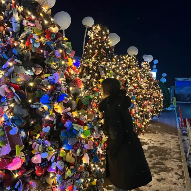 크리스마스 데이트 장소 추천 ! 서울 남산타워 자물쇠트리랑 같이 사진찍고 인생샷 건지기!! 😁