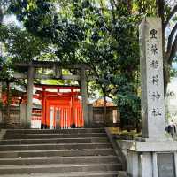 鳥居が鮮やか - 豊栄稲荷神社 -
