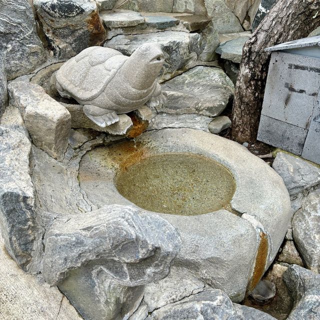 【韓国釜山・機張】釜山のパワースポット！願いを叶えたいなら「해동용궁사（海東龍宮寺）」