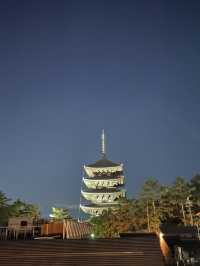 【奈良県】2023年泊まってよかった「セトレならまち」