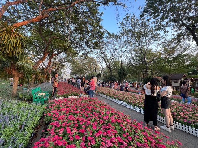 🌼เทศกาลดอกไม้ สวนหลวงร.9 กรุงเทพ🌺