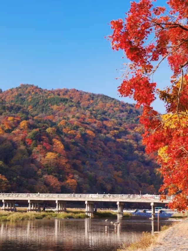 Arashiyama’s Fall 🍂🍁