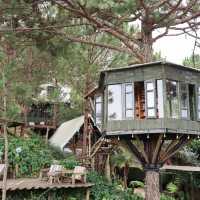 Ami Cafe Garden Dalat คาเฟ่ชิลๆ บนภูเขา