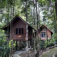 Rebalancing life at Chestnut Hill Eco Resort